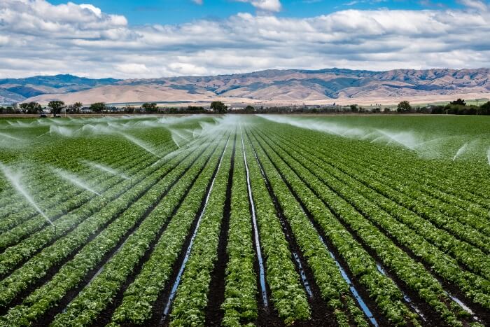 Alleviating groundwater over-use and sustaining irrigated agriculture is the focus of a project included in recent funding announced by the U.S. Department of Agriculture.