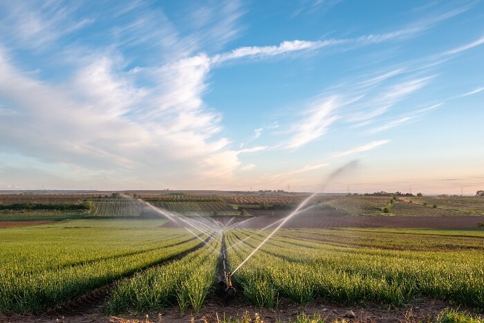 The Middle Rio Grande Conservancy District in New Mexico, a regional irrigation district, has received a $2.9 million federal grant to help small, struggling growers and improve infrastructure.
