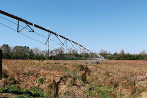 Clemson researchers have developed a new app row crop farmers can use to fertigate crops through a center pivot irrigation system. Photo: Clemson University