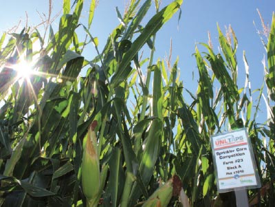 Each plot is identified in the field with signs making it easy for participants and technology providers to identify their plots. Competitors are invited to visit their plots anytime throughout the growing season. Photos, videos and field data are also provided to assist in making management decisions.