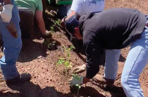 The IA and the IIC collaborated on a survey to identify research and efforts that respondents believe would support irrigation technology. 