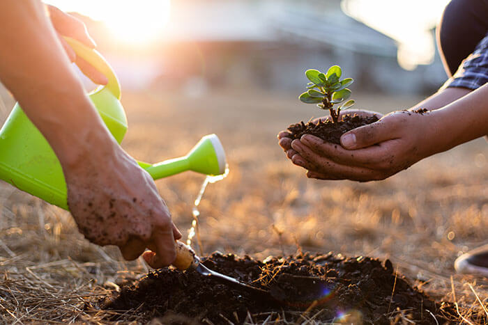 TSC launched the Resilient Agriculture Accelerator Fund to scale voluntary regenerative conservation agriculture on farms in the U.S.