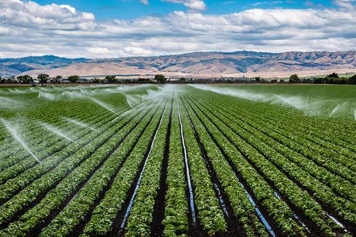 California Sen. Bob Wieckowski is proposing to use $1.5 billion in taxpayer funds to buy water rights from farmers.