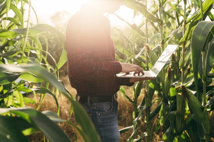 The National Agricultural Statistics Service and the National Association of State Departments of Agriculture celebrate 50 years together.