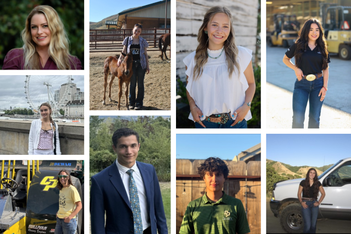 CAIA scholarship winners