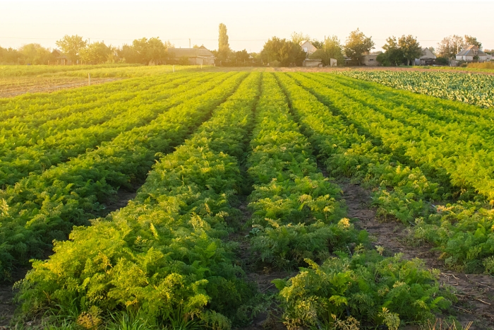 YourBestPractice_Fall25