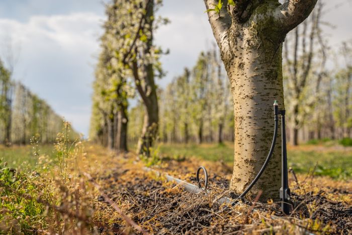 AdobeStock_331990969