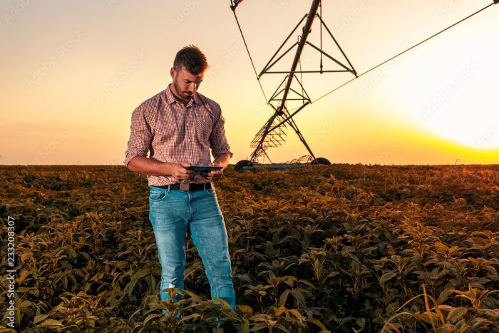 AdobeStock_233208307_Preview