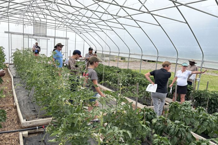 Sensor based irrigation (2)